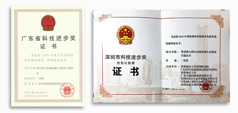 科技進步獎