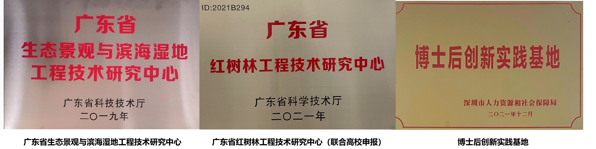 研發(fā)平1
